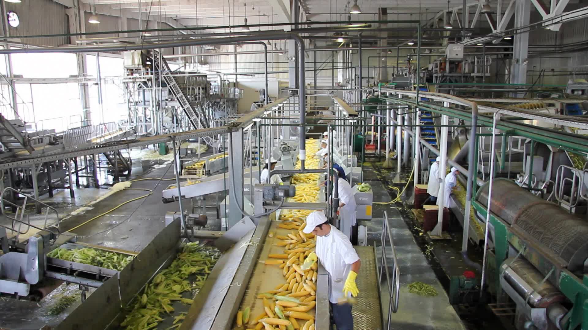 Agriculture & Livestock