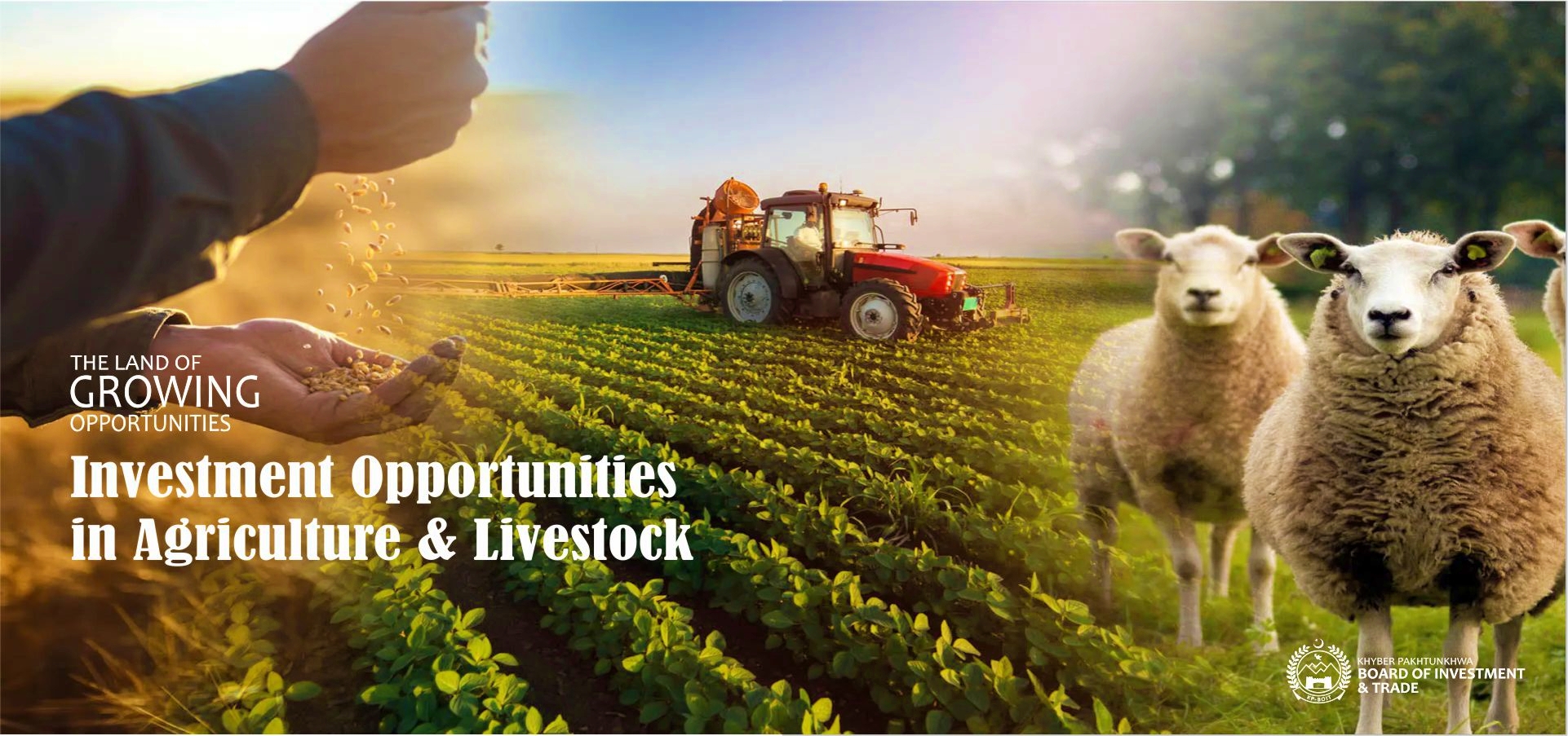 Investment Opportunities in Agriculutre