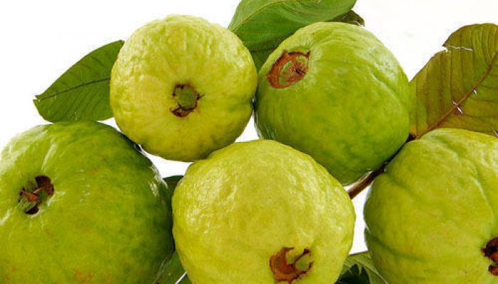 fresh-guava-1572869839-5140231